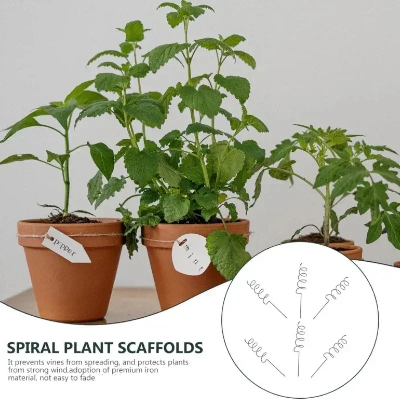 Us Bonsai Garden - Climbing Plant Support Stake Stand Climbing