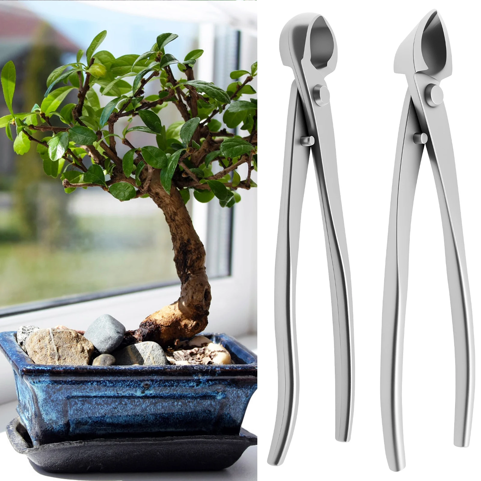 Bonsai Garden Timings - Bonsai Grooming Kit Stainless Steel Wear