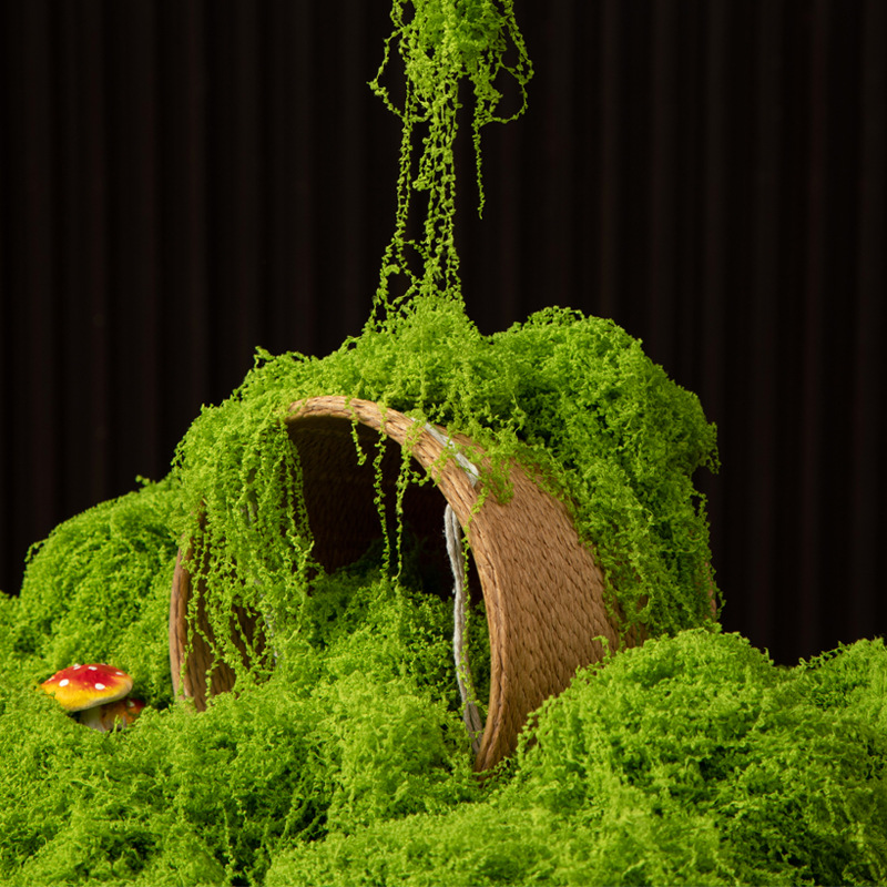 Bonsai Garden Home - 200g Eternal Life Moss DIY Crafts