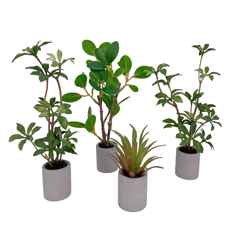 Bonsai Garden Home - 1:6 Dollhouse Miniature Potted Plant Green