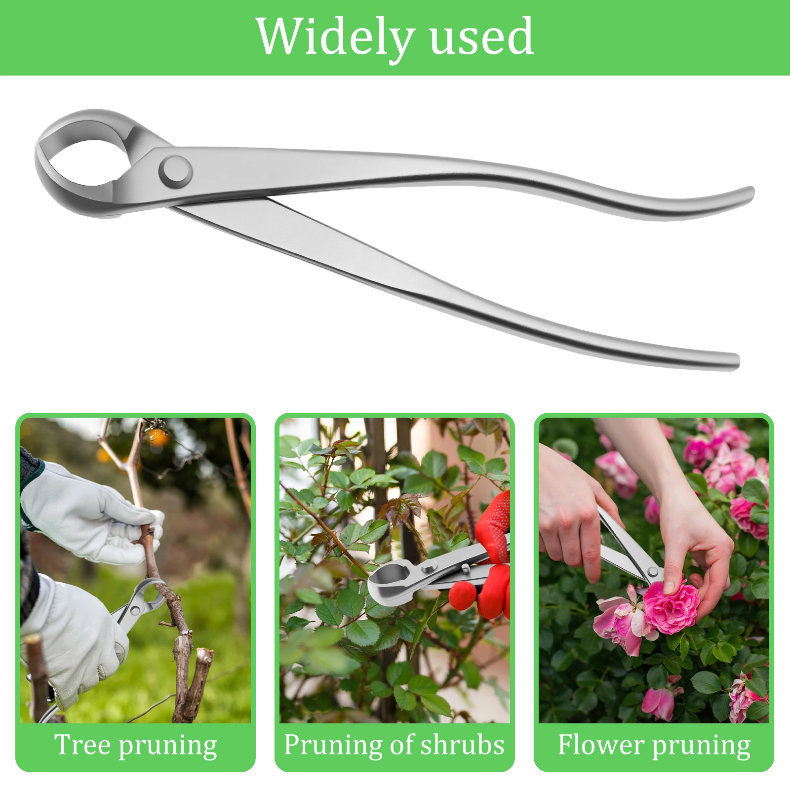 Bonsai Garden Timings - Bonsai Grooming Kit Stainless Steel Wear
