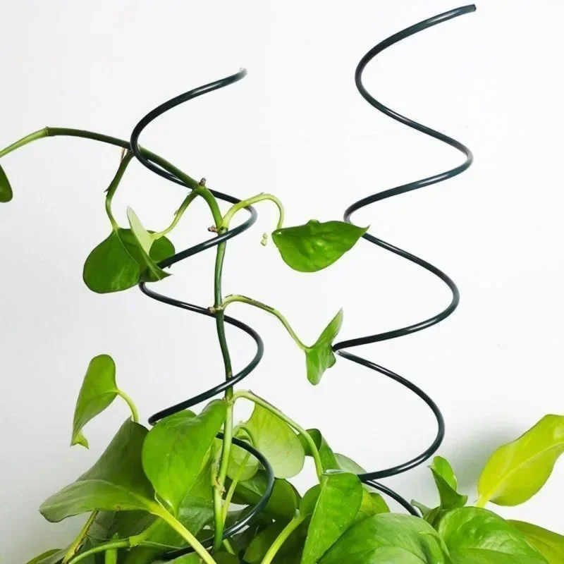 Climbing Plant Support Stake S - Us Bonsai Garden 评论和价格