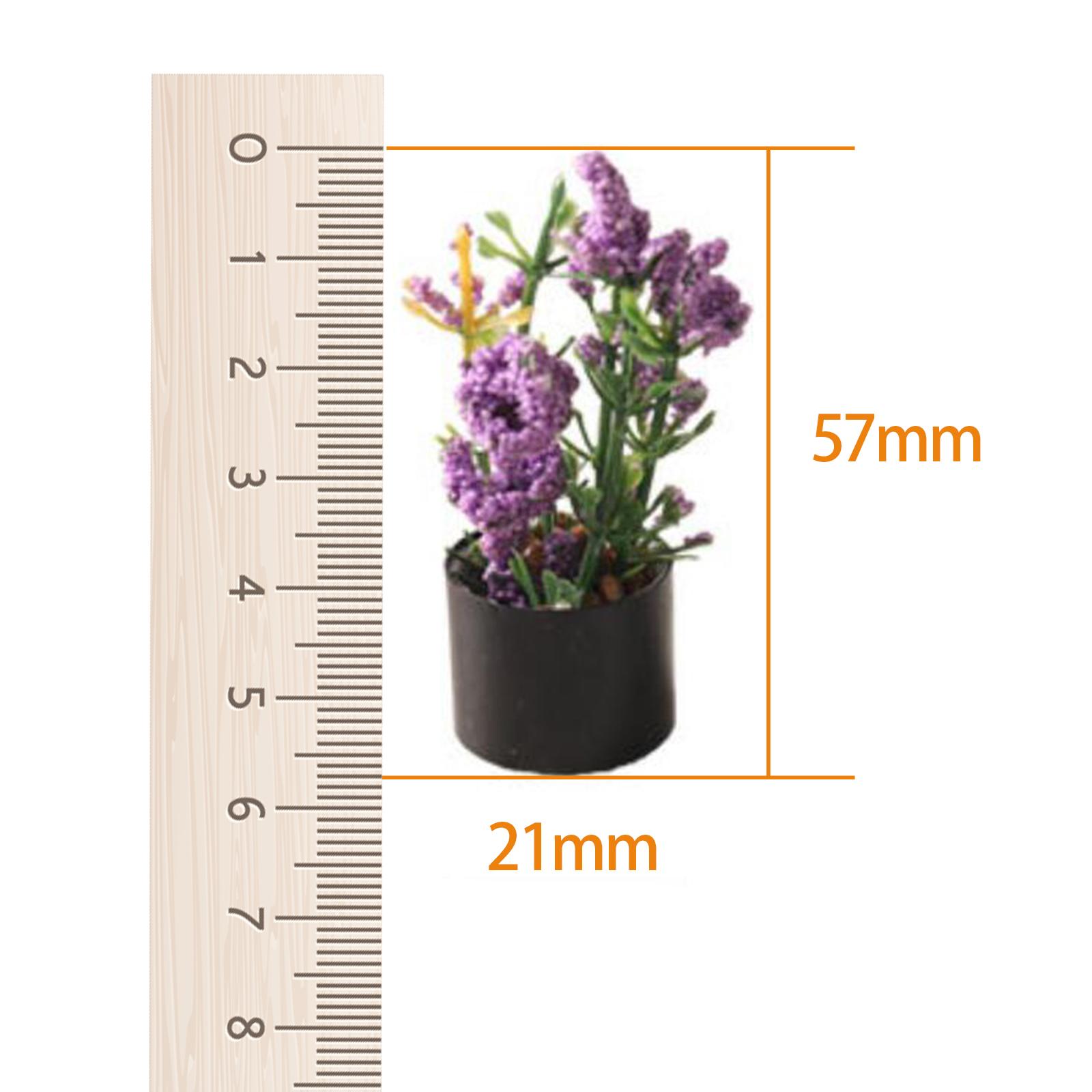 1/12 Miniature Flower Bonsai O - Bonsai Garden Photos 评论和价格