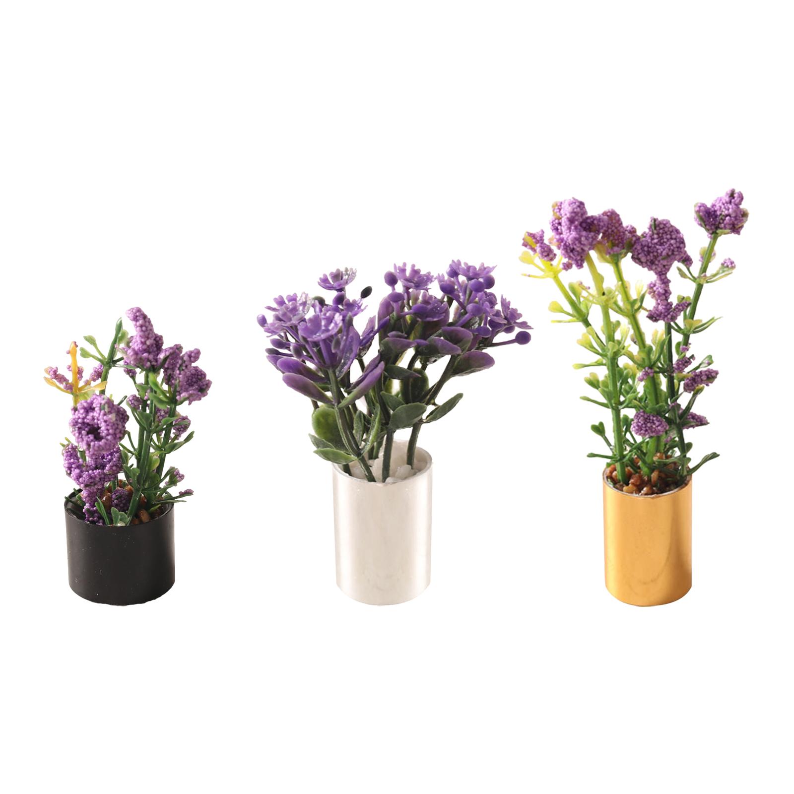 1/12 Miniature Flower Bonsai O - Bonsai Garden Photos 评论和价格
