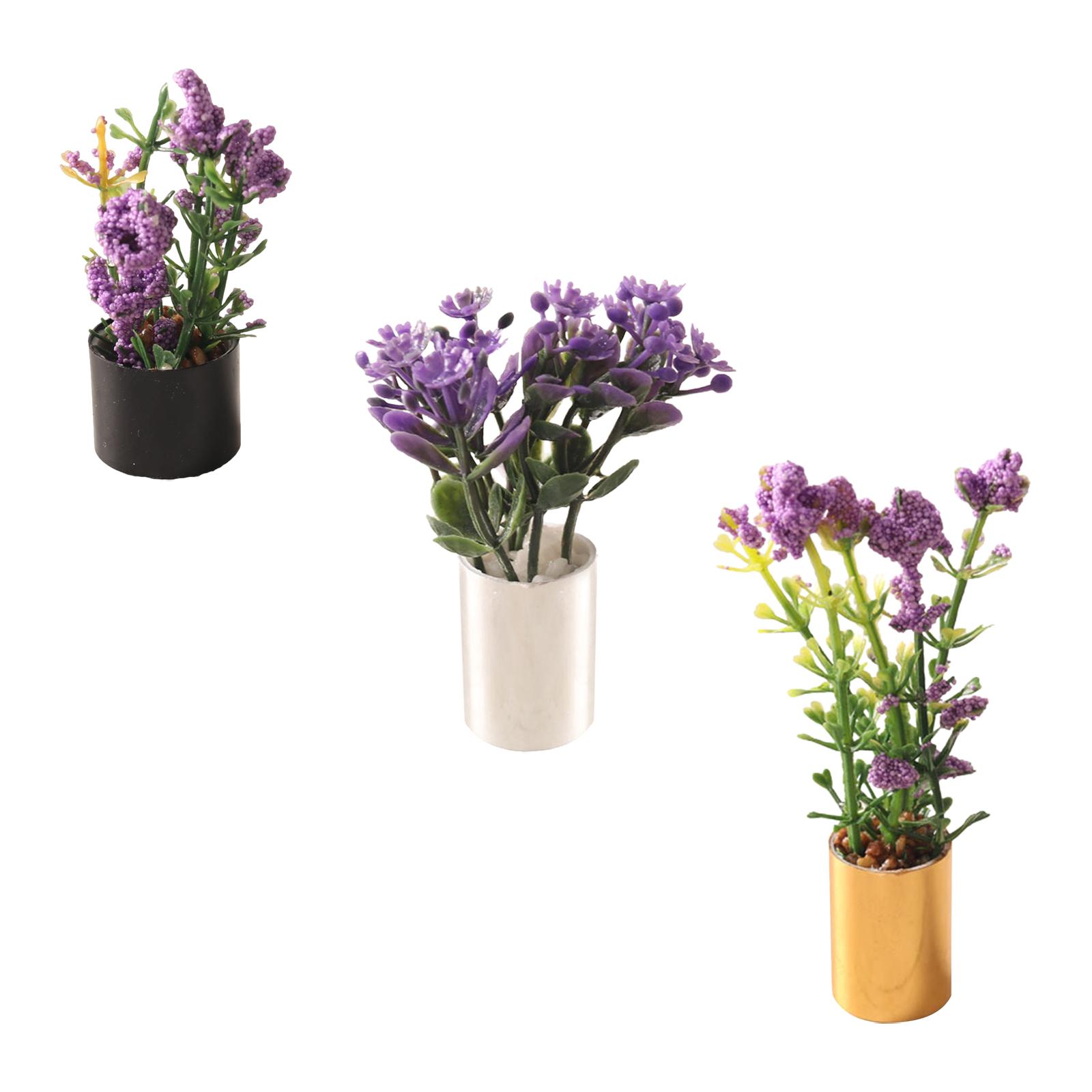 1/12 Miniature Flower Bonsai O - Bonsai Garden Photos 评论和价格