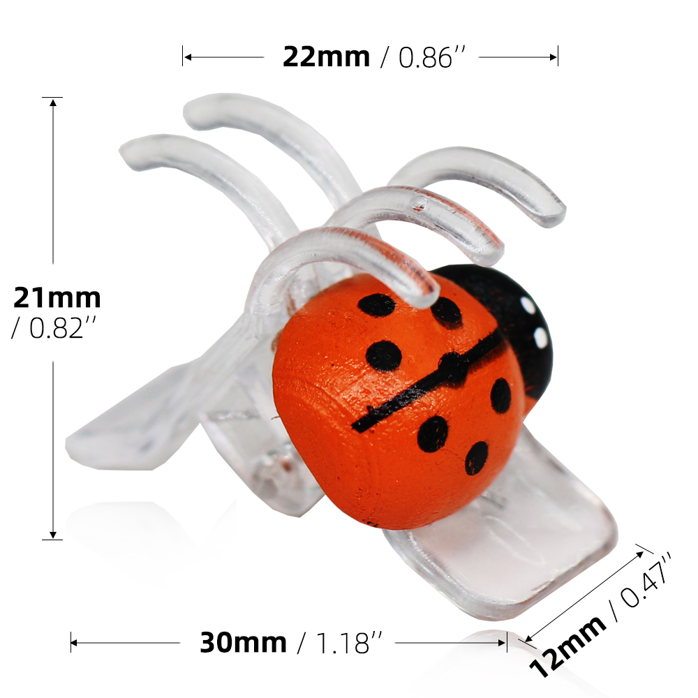 10-800PCS Ladybird Orchid Clip - Bonsai Garden Home 评论和价格