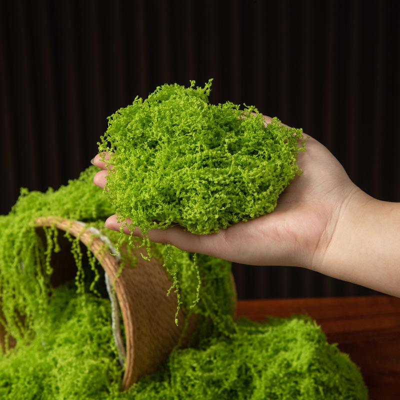200g Eternal Life Moss DIY Cra - Bonsai Garden Home 评论和价格