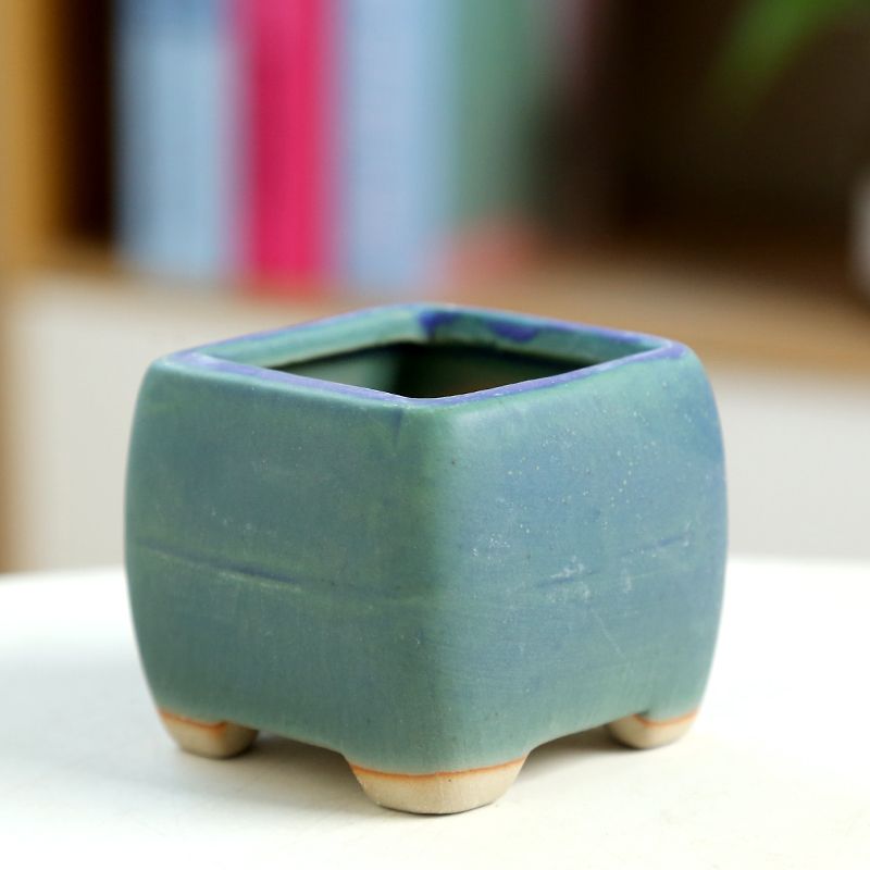 Mini Fleshy Flowerpot Ceramic， - Training Pot Ceramic 评论和价格