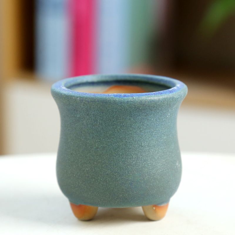 Mini Fleshy Flowerpot Ceramic， - Training Pot Ceramic 评论和价格