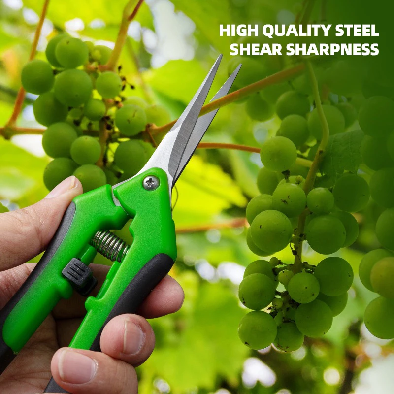 7-Inch Pruner Scissors for Pla - Bonsai Garden Timings 评论和价格