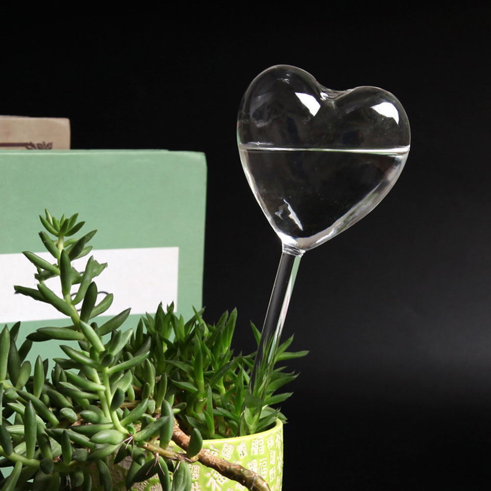 3Pcs Heart Shaped Glass Self W - Bonsai Garden Home 评论和价格