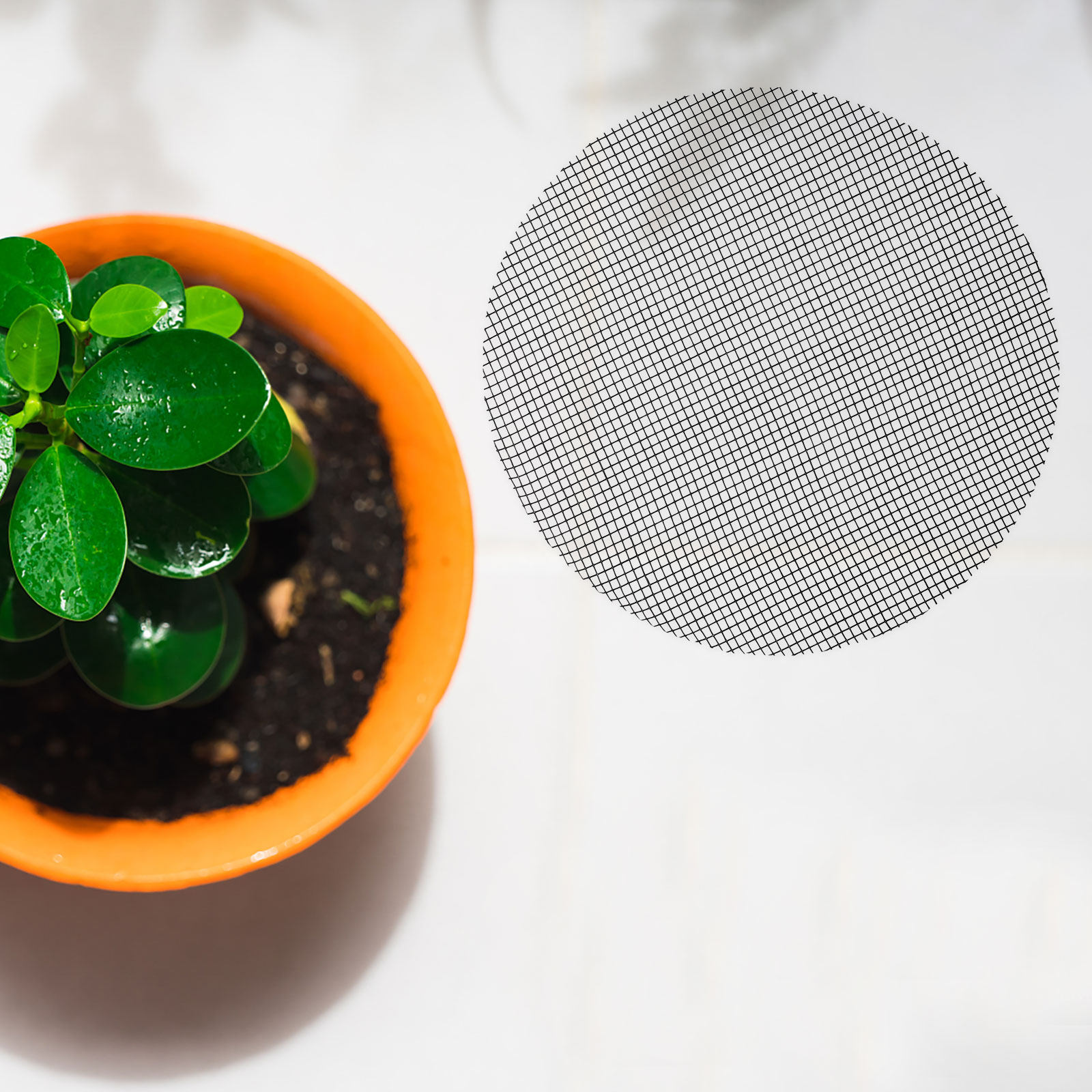 50Pcs Flower Pot Hole Mesh Pad - Us Bonsai Garden 评论和价格