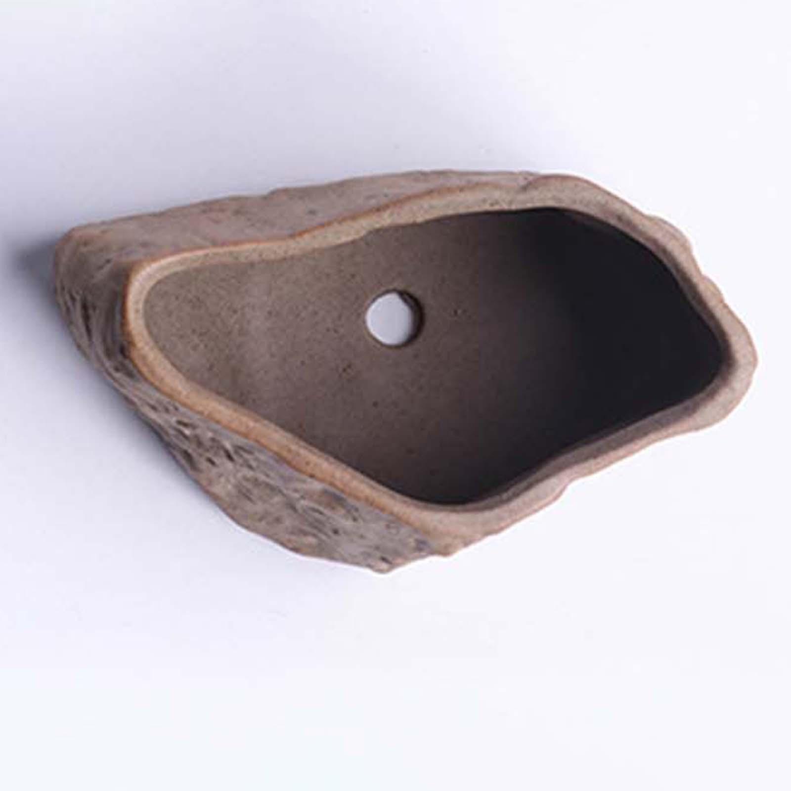 Ceramic Succulent Pot Lightwei - Training Pot Ceramic 评论和价格