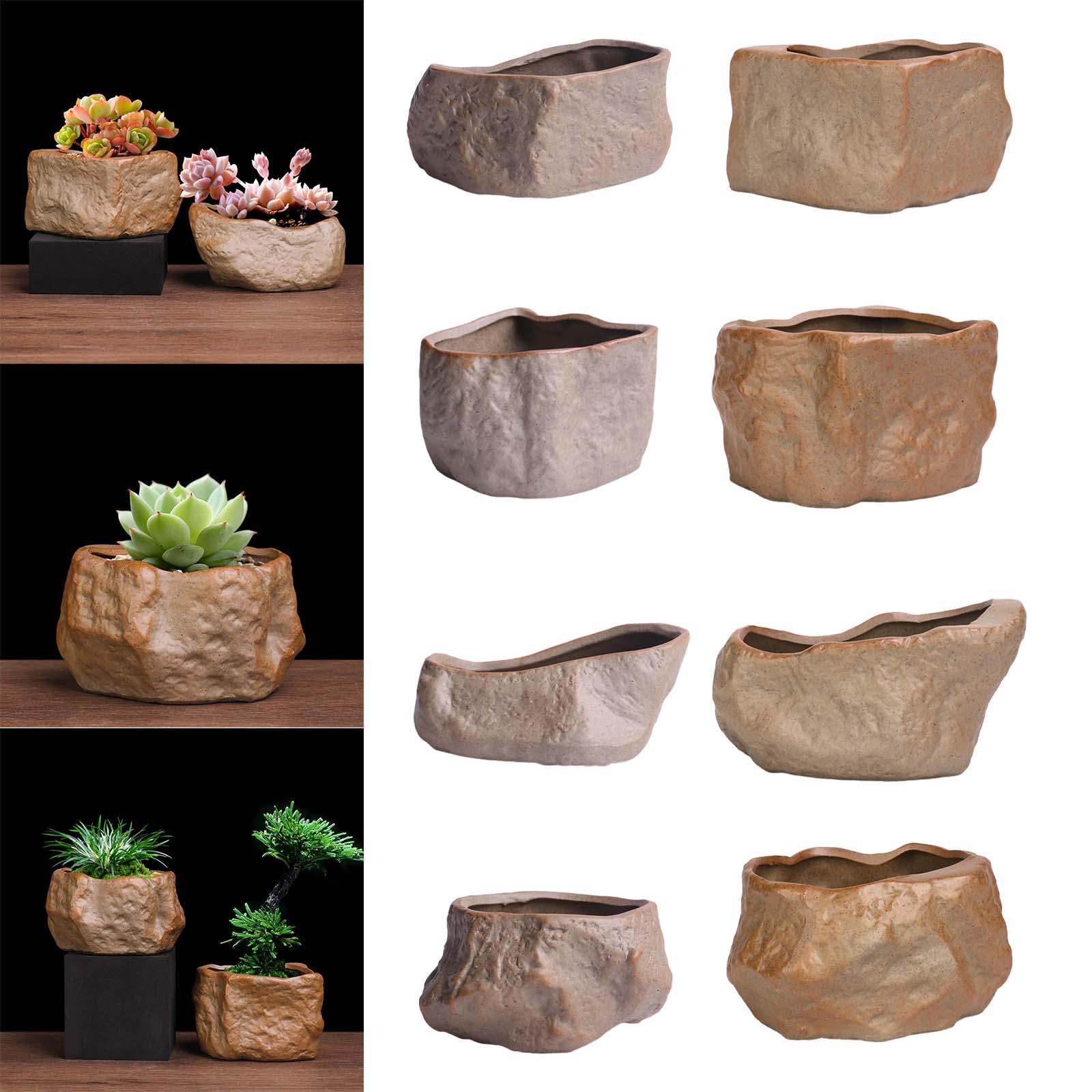 Ceramic Succulent Pot Lightwei - Training Pot Ceramic 评论和价格