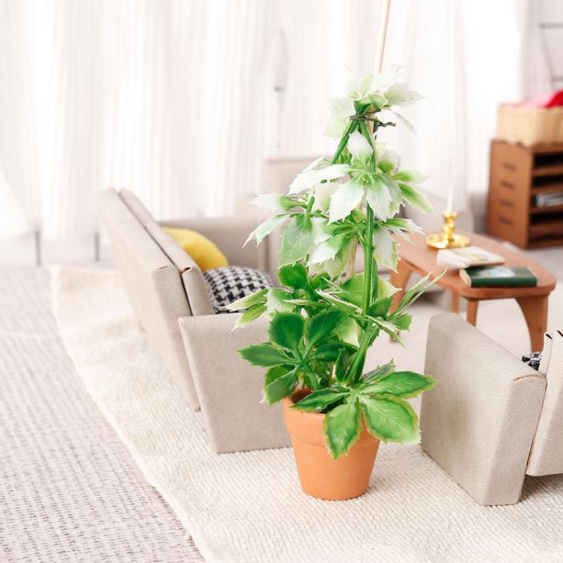 1/12 Dollhouse Simulation Gree - Us Bonsai Garden 评论和价格