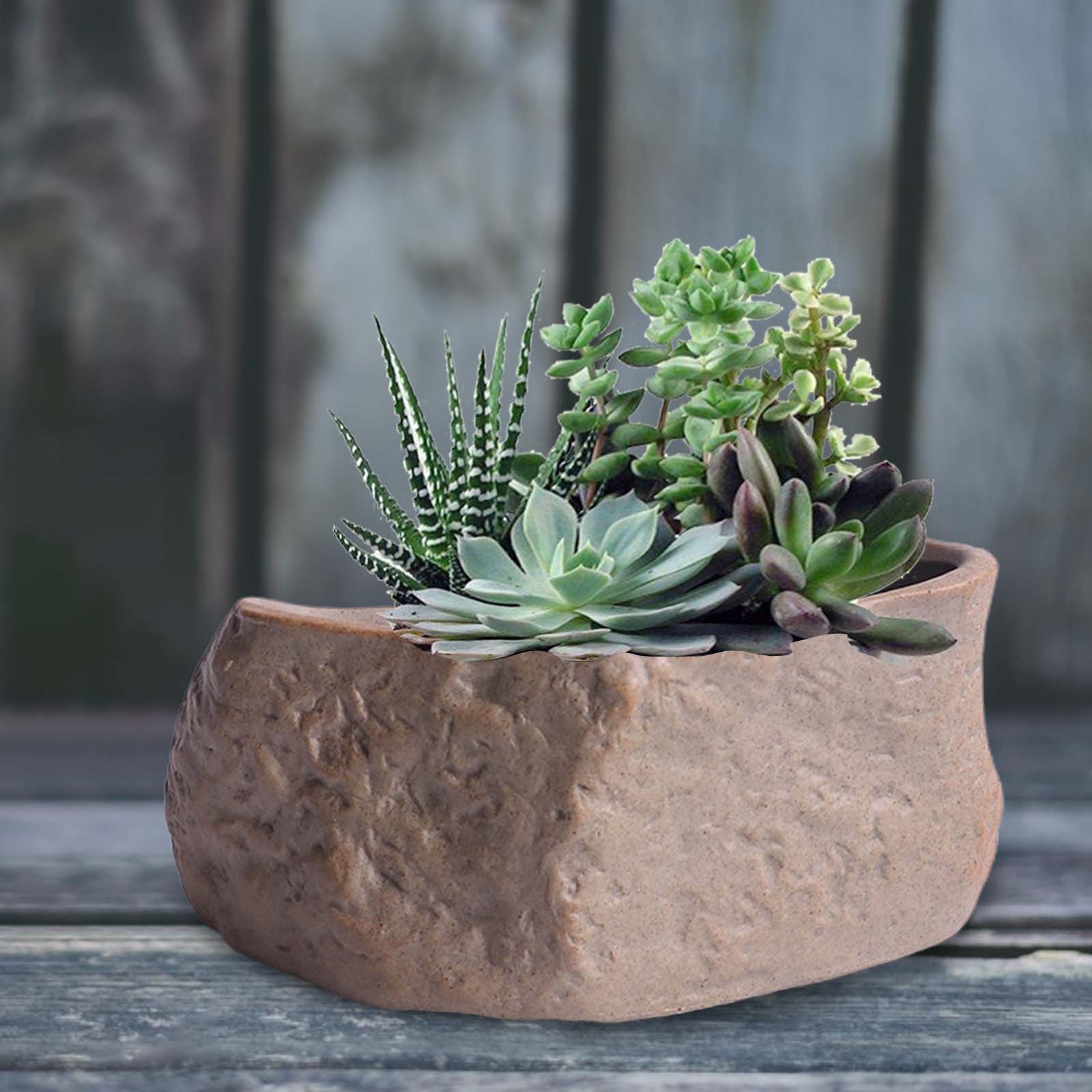 Ceramic Succulent Pot Stone Sh - Training Pot Ceramic 评论和价格