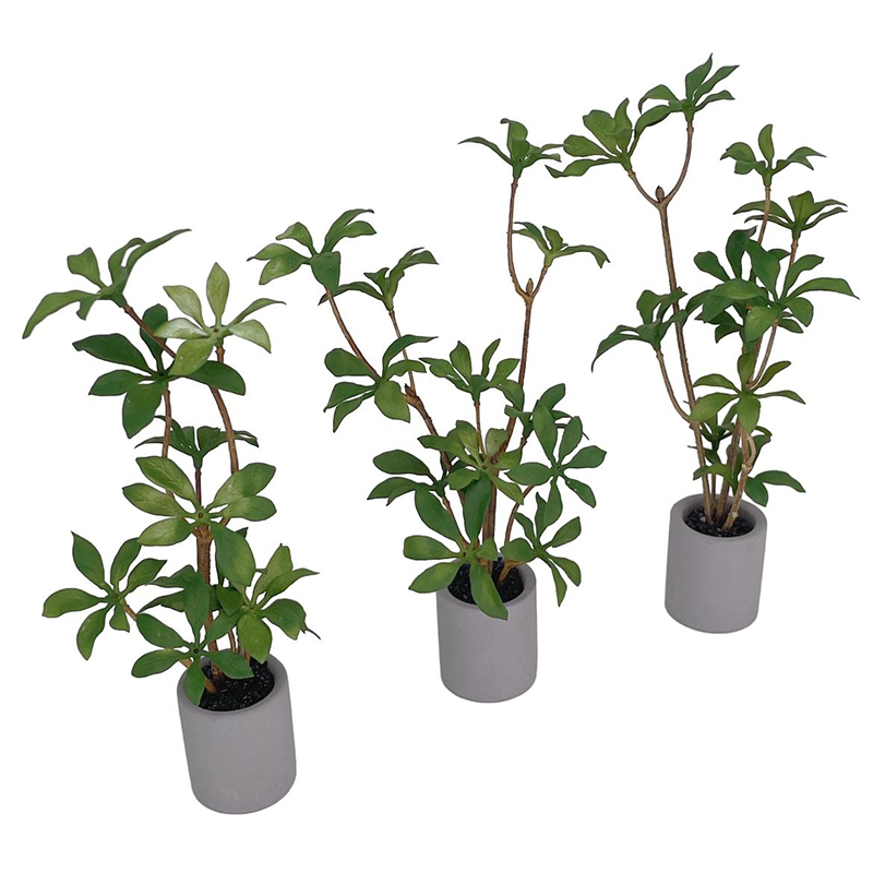 1:6 Dollhouse Miniature Potted - Bonsai Garden Home 评论和价格