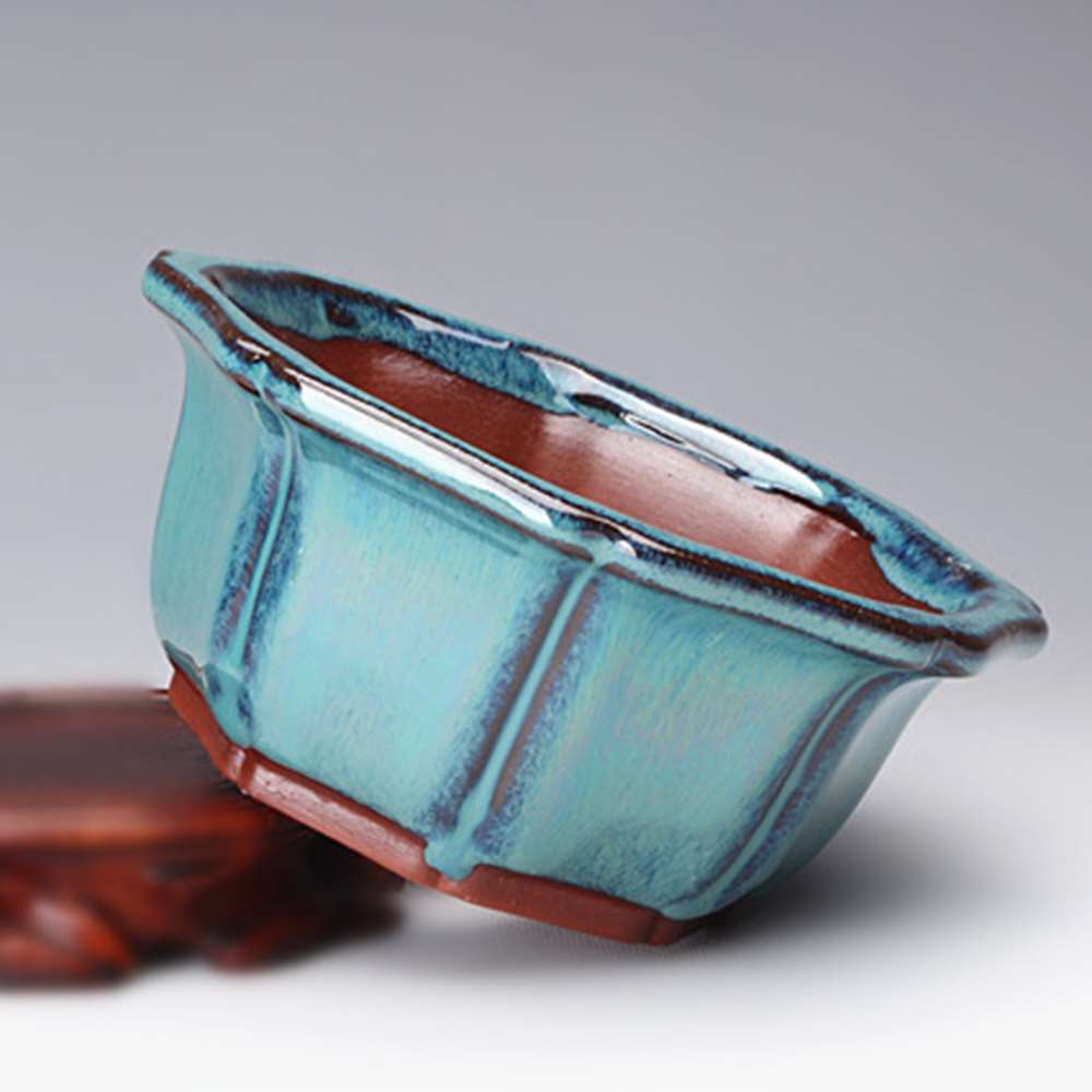 Chinese Style Bonsai Pots Brea - Training Pot Ceramic 评论和价格