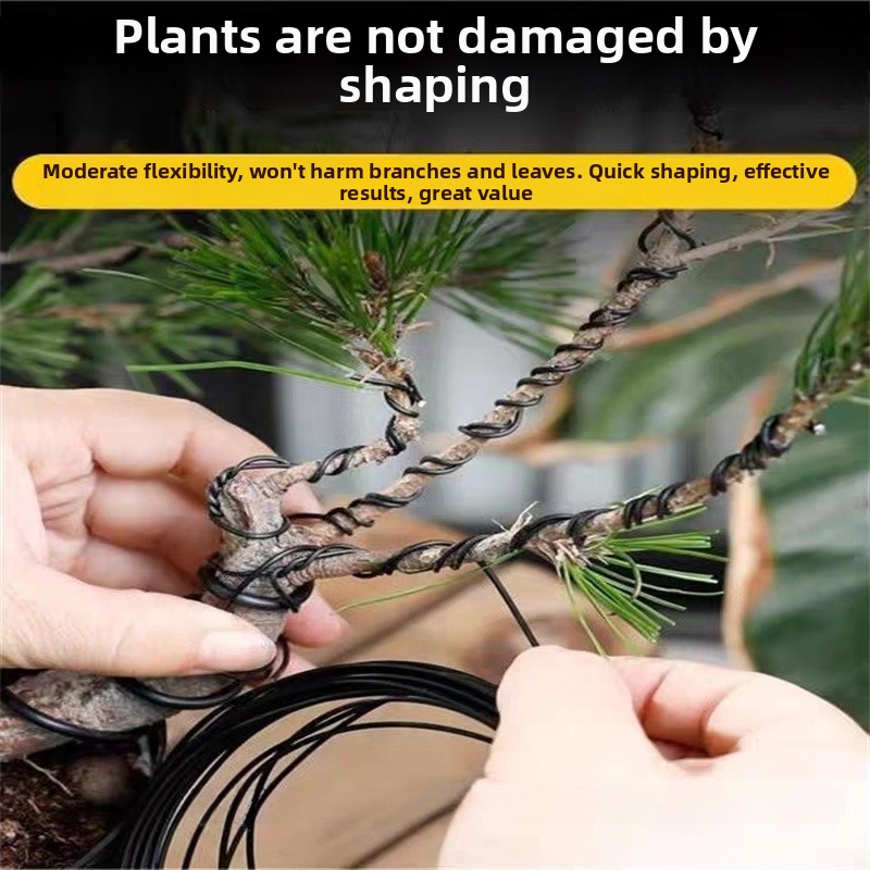 1.5MM Bonsai Wires Aluminum Bo - Bonsai Garden Home 评论和价格