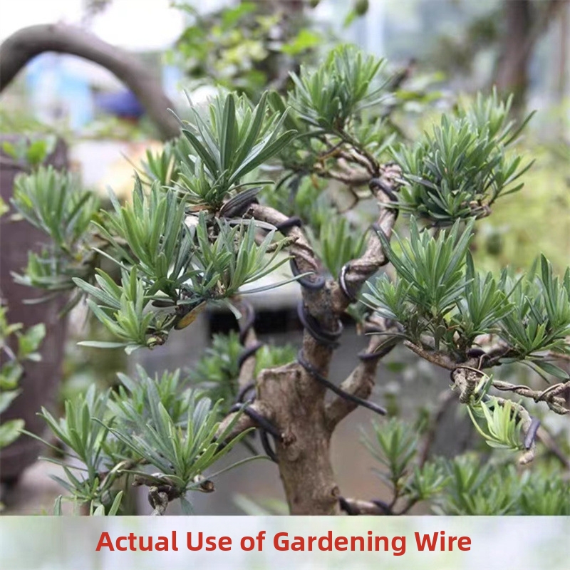 1.5MM Bonsai Wires Aluminum Bo - Bonsai Garden Home 评论和价格
