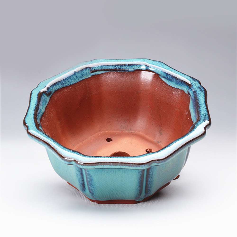 Chinese Style Bonsai Pots Brea - Training Pot Ceramic 评论和价格