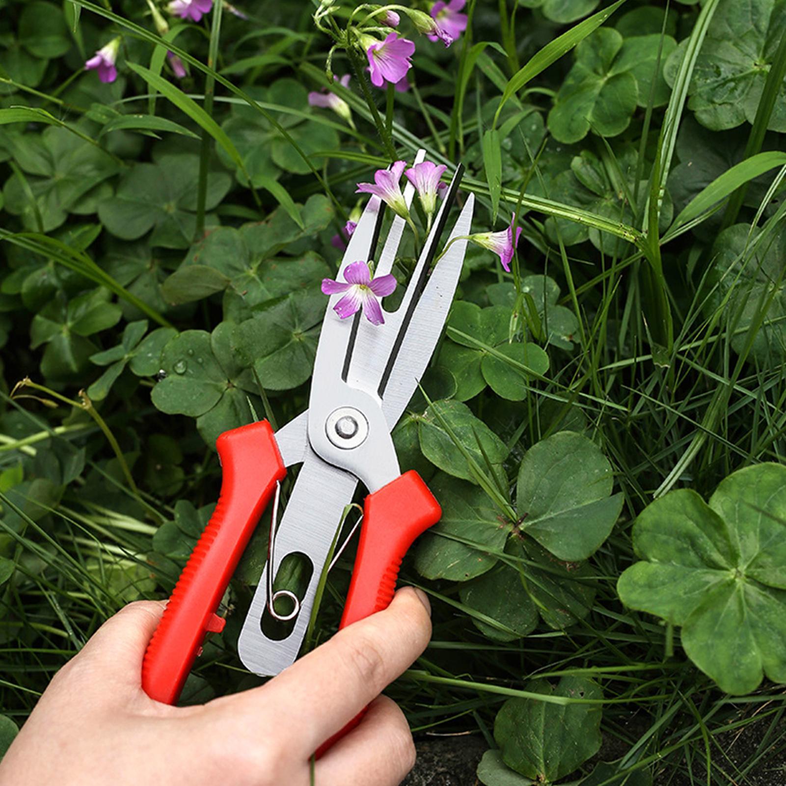 Garden Shears Stainless Steel  - Us Bonsai Garden 评论和价格