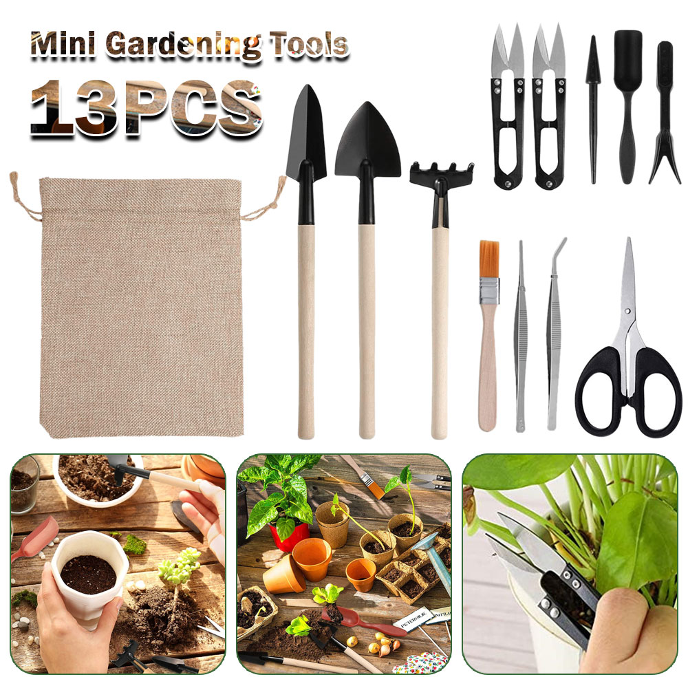 Succulent Plants Tools Mini Ga - Bonsai Garden Miniature 评论和价格
