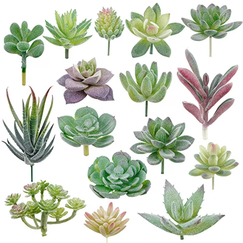 10/20Pcs PVC Succulents Plants - Bonsai Garden Home 评论和价格