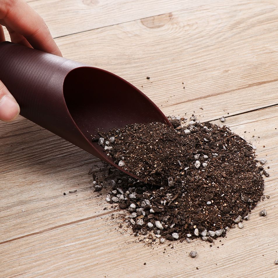 1PC Plastic Soil Shovel Cup Fo - Bonsai Garden Home 评论和价格